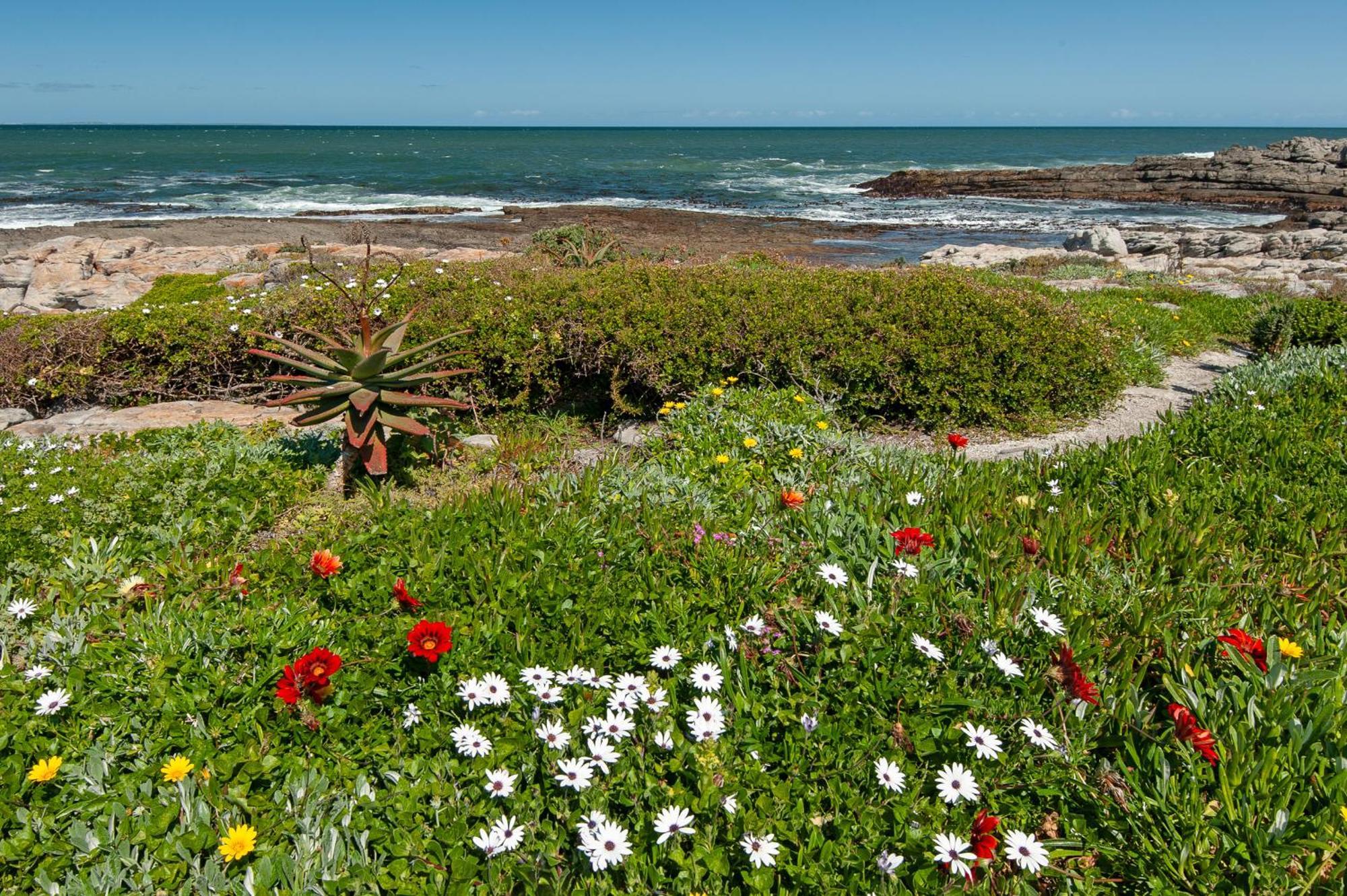 64 Whalerock Estate Lejlighed Hermanus Eksteriør billede