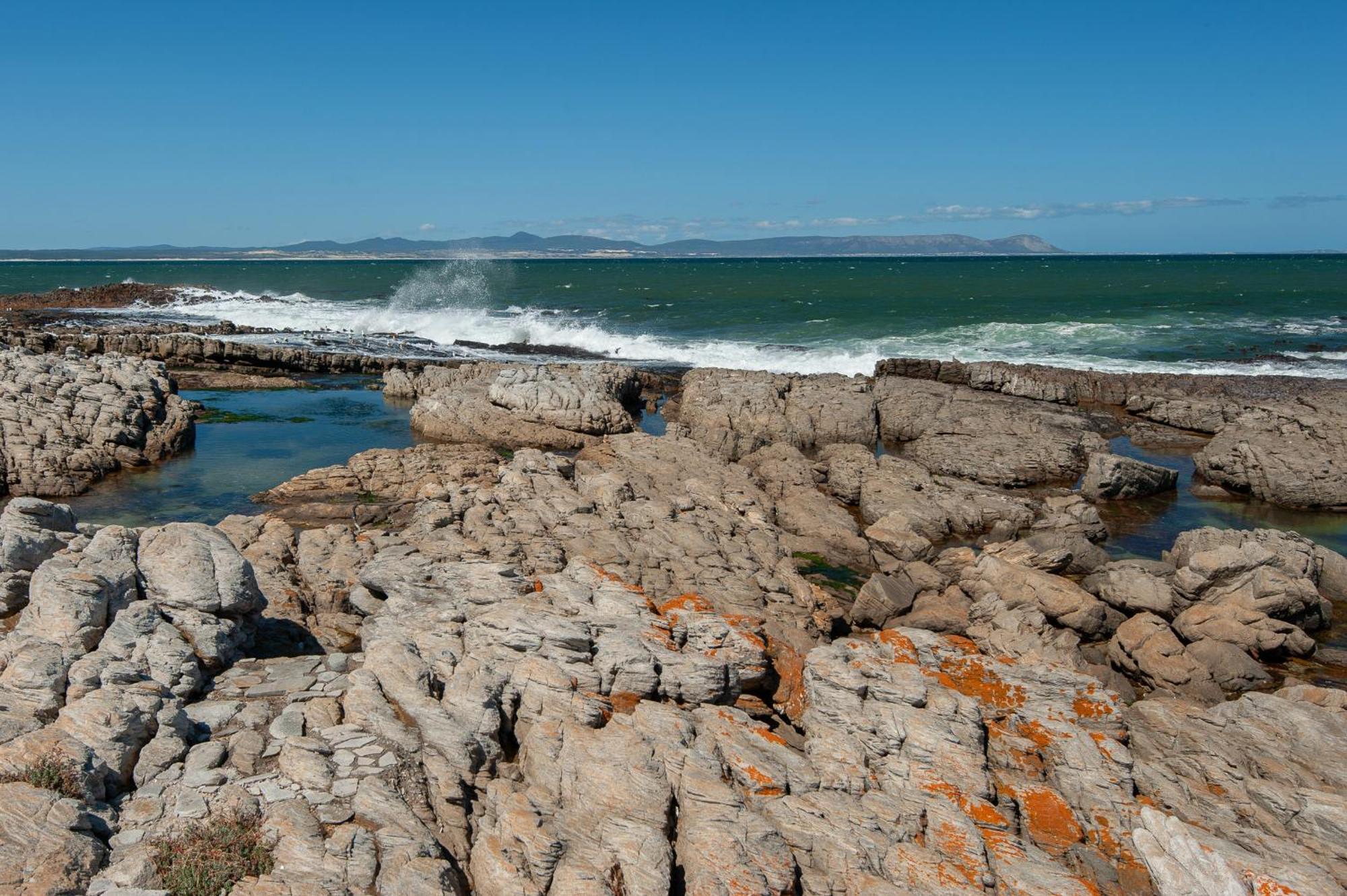 64 Whalerock Estate Lejlighed Hermanus Eksteriør billede